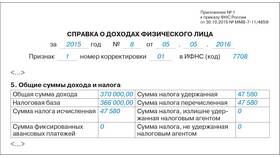 2-НДФЛ код 2510: что это означает в Покупочка