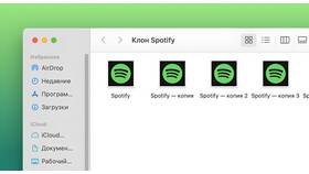 Что дает подписка Spotify в Покупочка