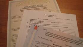 Что делать при утере договора купли-продажи в Покупочка