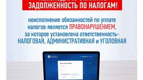 Что означает размер отрицательного сальдо ЕНС в Покупочка
