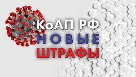 Что такое КоАП штрафы в Покупочка
