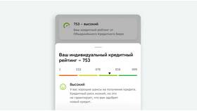 Что такое кредитный рейтинг компании в Покупочка