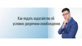 Что такое подать ходатайство в Покупочка