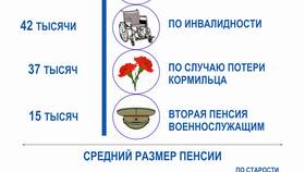 Что такое страховой пенсионный в Покупочка