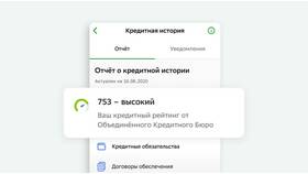 Директ Кредит: что это и как работает в Покупочка