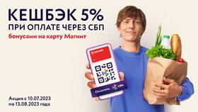 Как использовать кэшбэк СБП в Покупочка