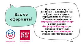 Как использовать виртуальную Пушкинскую карту в Покупочка