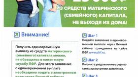 Как написать заявление в Пенсионный фонд через Госуслуги в Покупочка