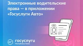 Как подать на водительские права через Госуслуги в Покупочка