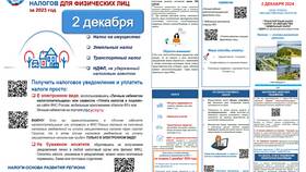 Как подать отчет по форме 1-ИЛ через портал Госуслуги в Покупочка
