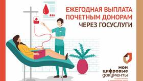 Как подать заявление на выплаты через Госуслуги в Покупочка