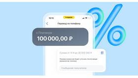 Как пополнить VK через СБП в Покупочка