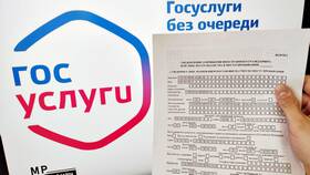 Как сделать временную регистрацию ребенку через Госуслуги в Покупочка