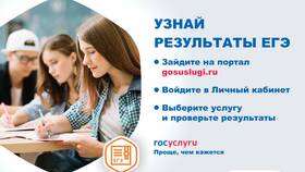 Как узнать результаты ЕГЭ по номеру паспорта в Покупочка