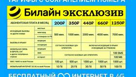 Как узнать сколько ГБ осталось на Билайне в Покупочка