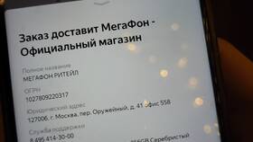 Как заказать телефон в МегаФоне в Покупочка
