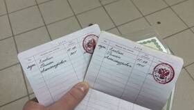 Как записать ребенка в паспорт через Госуслуги в Покупочка