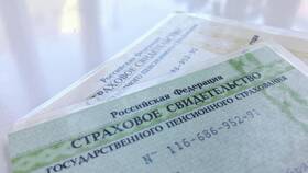 Номер СНИЛС у мошенников: что делать в Покупочка