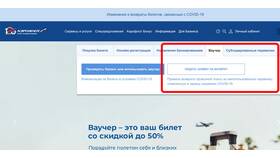 Отмена рейса Аэрофлот: что делать пассажиру в Покупочка