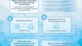 Первичная выплата по больничному: что означает СФР в Покупочка