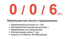 Почему компании предлагают рассрочку в Покупочка