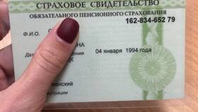 Зачем нужно страховое свидетельство пенсионного страхования в Покупочка