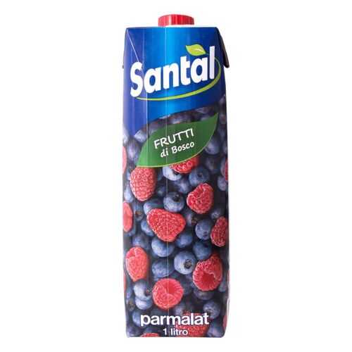 Напиток сокосодержащий Santal лесные ягоды 1 л в Покупочка